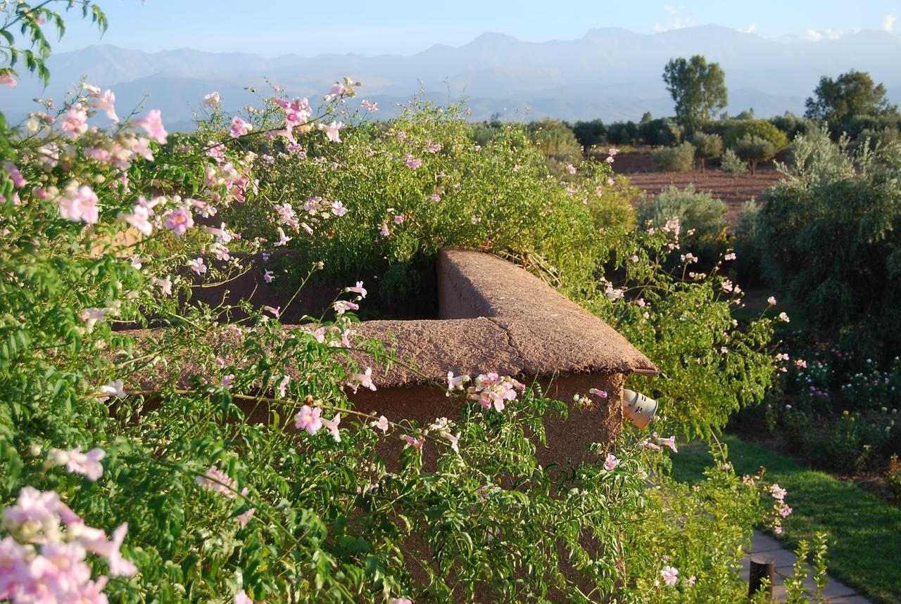 Ecolodge Quaryati Marrakech Douar Tounsi Dış mekan fotoğraf